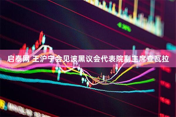 启泰网 王沪宁会见波黑议会代表院副主席查瓦拉