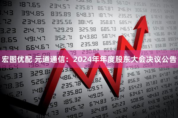 宏图优配 元道通信：2024年年度股东大会决议公告